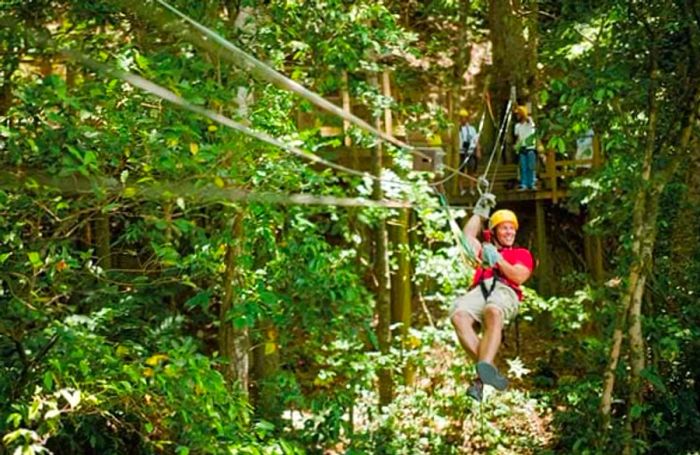 a man soaring through the treetops in the Caribbean