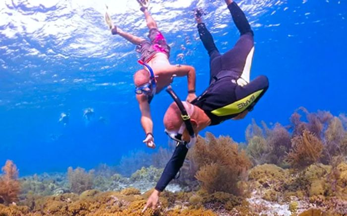 two men observing a coral reef during a snorkeling experience