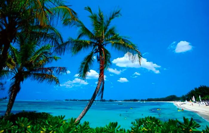 individuals swimming in the crystal-clear waters of a beach in Nassau, The Bahamas