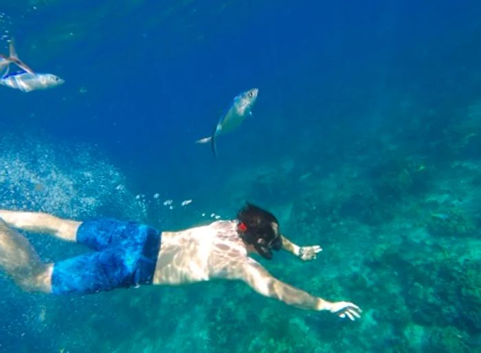 a man diving deep into the ocean for a better view of the reefs