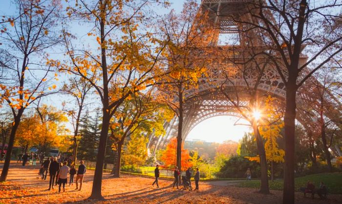 The Eiffel Tower in Paris surrounded by vibrant autumn leaves