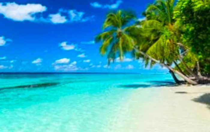 Palm trees swaying on Paradise Beach