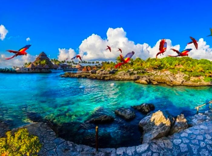 parrots soaring over a picturesque beach in Cozumel