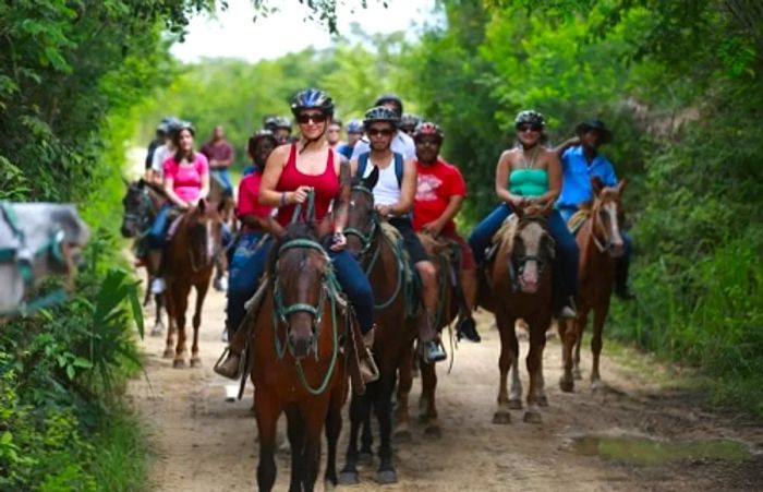 a group of riders embarking on a horseback trail through a forest