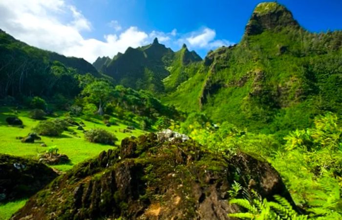 a verdant valley surrounded by mountains in Kauai, Hawaii