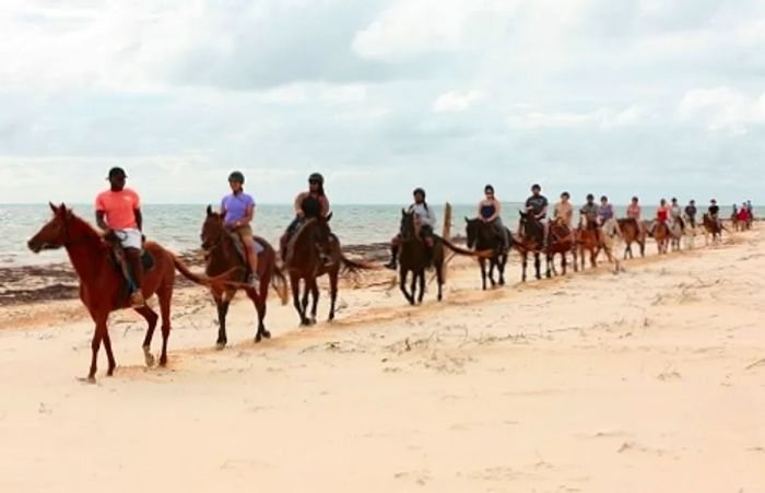 a group of individuals enjoying a horseback riding excursion on the shore in Grand Turk