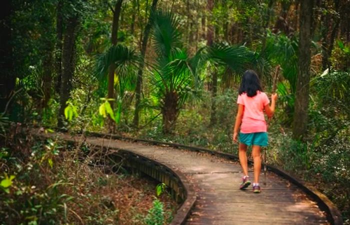 girl hiking a wooden trail in a Tampa park