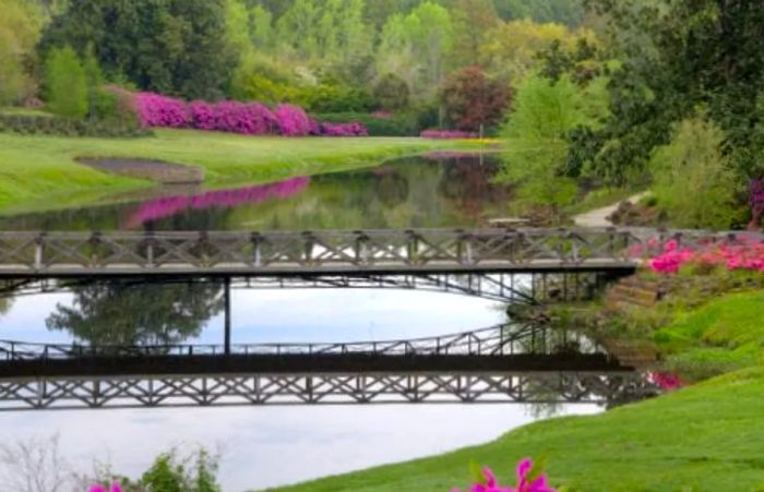 a picturesque wooden bridge arching over a serene lake in Bellingrath Gardens