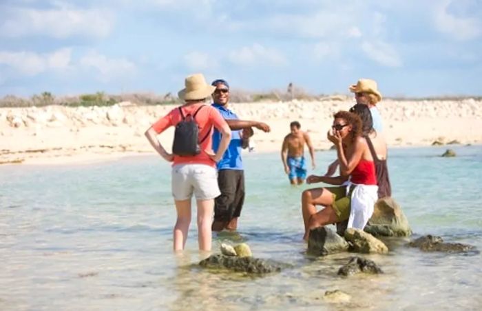 group of people enjoying a shore excursion at the beach