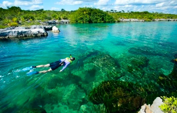 man snorkeling in the mystical Mayan river in Cozumel, Mexico