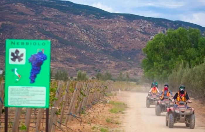 guests riding ATVs as they explore the Mexican wine country