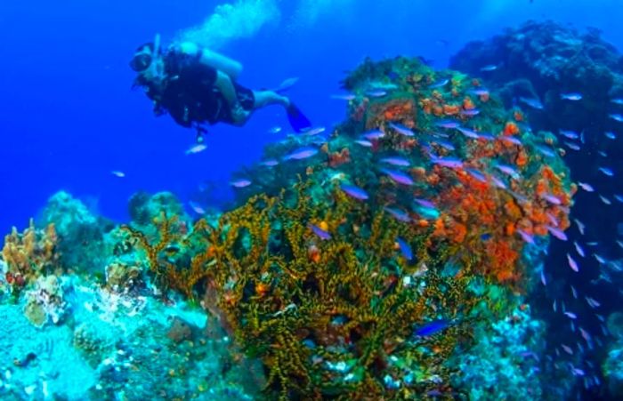 two tank diver underwater in Cozumel