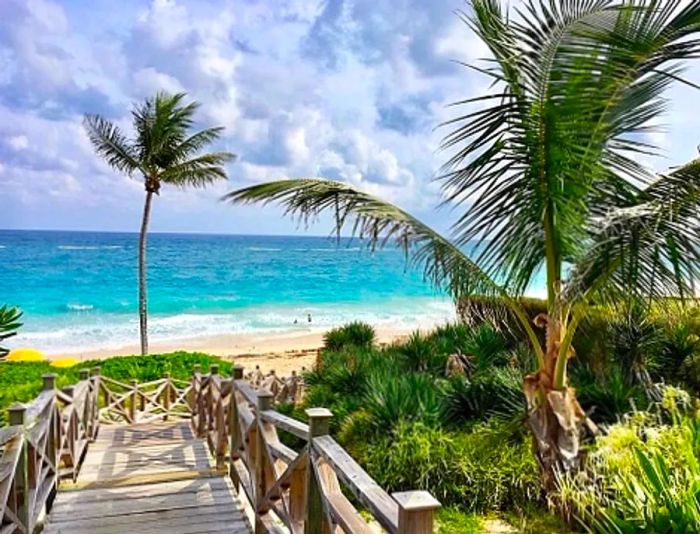 a wooden bridge traversing the lush landscape of Bermuda, leading to the beach