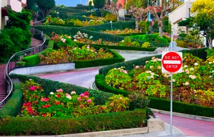 view of Lombard Street from the ground in San Francisco