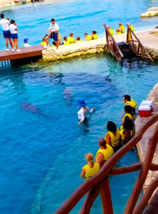 woman surrounded by swimmers in the pool