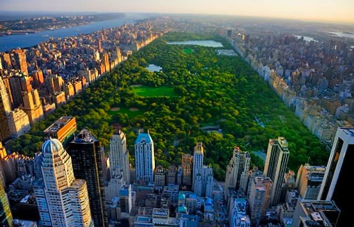 aerial view of central park