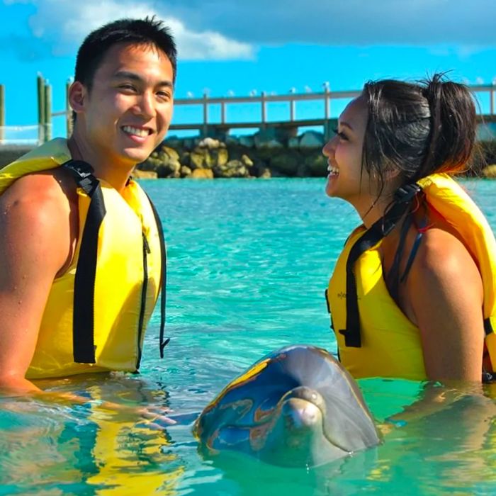 a young couple interacting with a dolphin