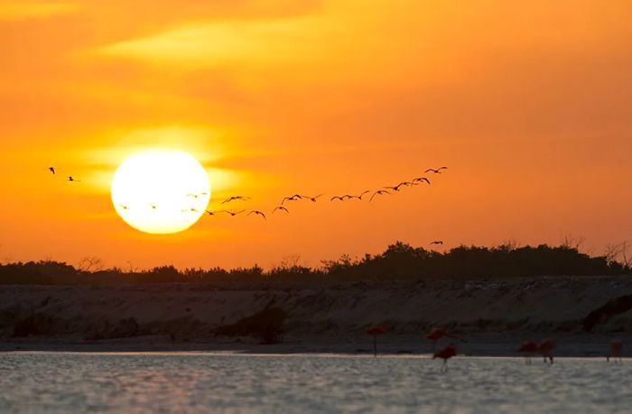 sunset in Yucatan, Mexico