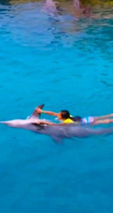 daughter swimming with dolphins