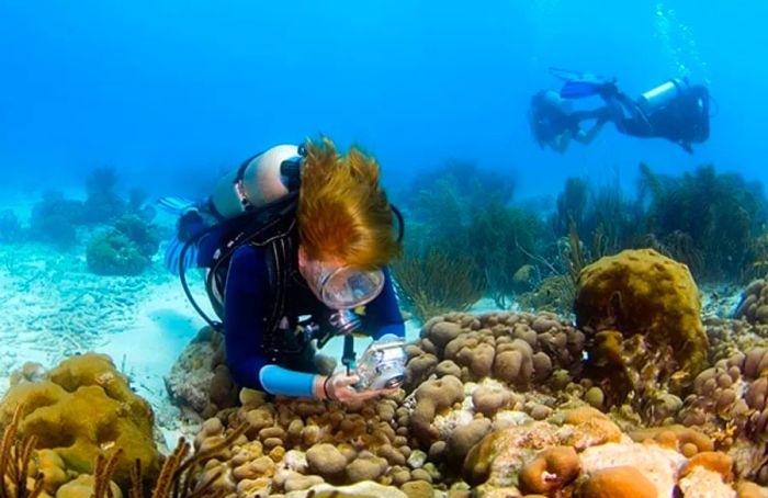 A woman scuba diving in Bonaire