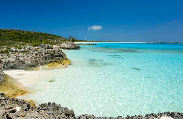 Half Moon Cay shoreline