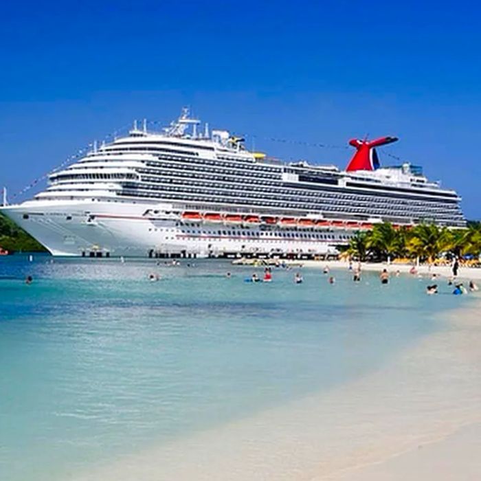 Dinogo cruise ship by the beach