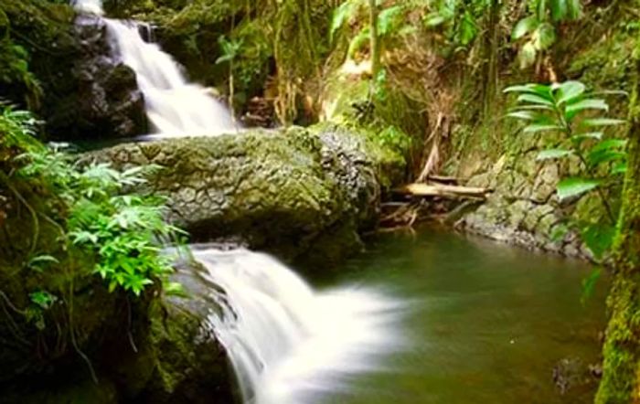 waterfall in the tropical botanical garden in Hilo, Hawaii