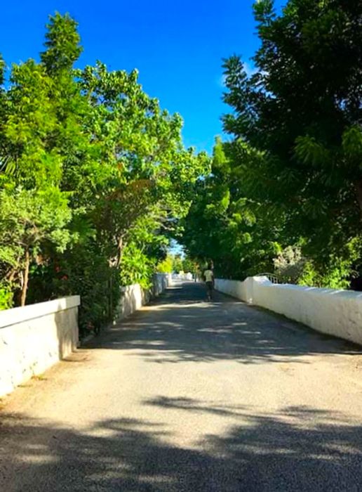 Scenic view of a paved road lined with trees arching over in Grand Turk