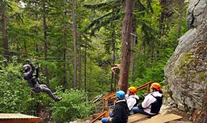 individuals zip lining in Alaska