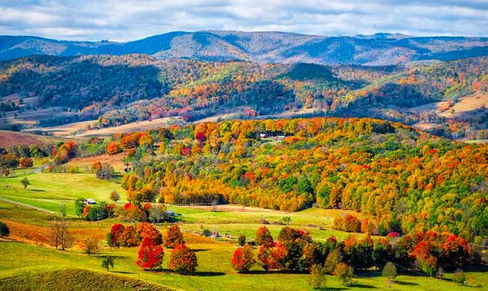 Your Comprehensive Guide to Enjoying Autumn Foliage