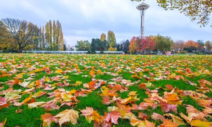 Your Comprehensive Guide to Experiencing Autumn Colors