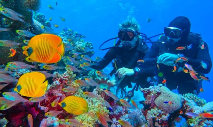 Two scuba divers exploring coral in the Great Barrier Reef.