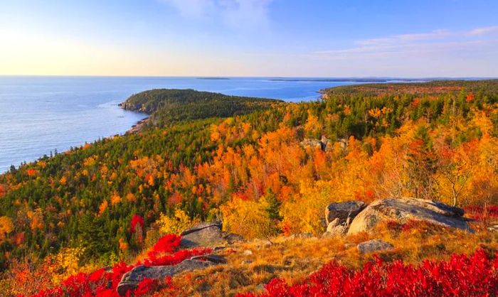 Your Essential Guide to Experiencing Autumn Colors