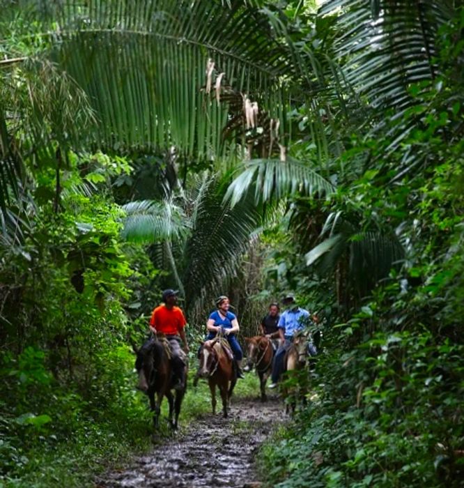 A group of people horseback riding through the jungle in Belize