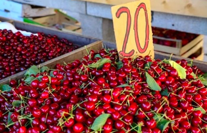 A vibrant market stall showcasing an abundance of cherries for sale in Croatia.