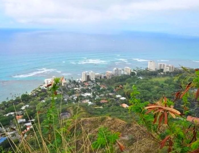 a stunning beach vista from the Diamond Head Volcano