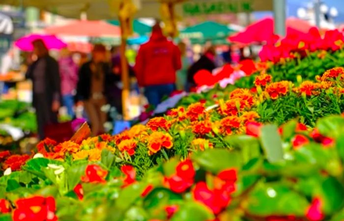 flowers displayed at Rijeka's city market