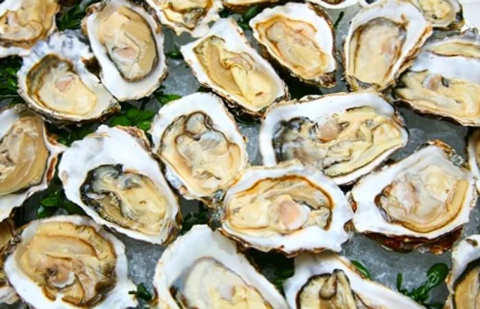 A platter of fresh oysters