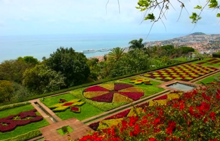 Portugal's renowned botanical gardens