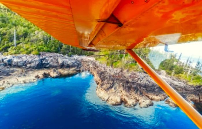 a view of the Alaskan forest from inside a yellow seaplane