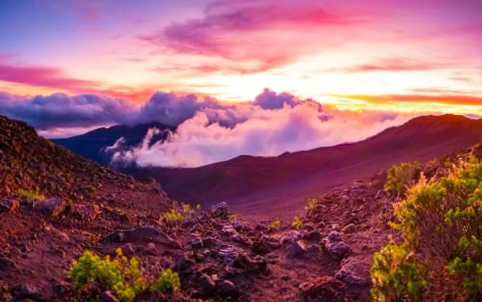 Stunning view of the Haleakala Crater from a hilltop during a cruise ship excursion