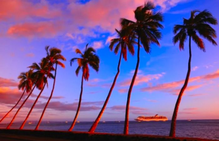 a collection of palm trees silhouetted against a Dinogo cruise ship during a Hawaiian sunset