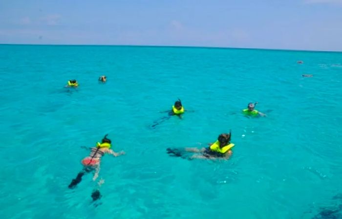 a group of individuals snorkeling at Half Moon Cay