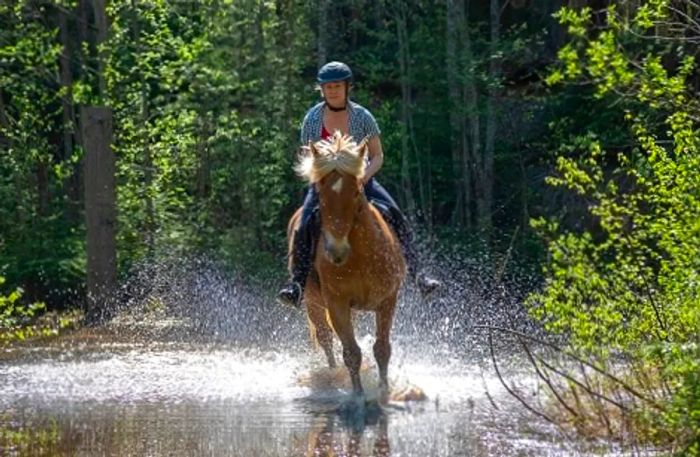 A woman riding a horse through the lush forest of San Juan