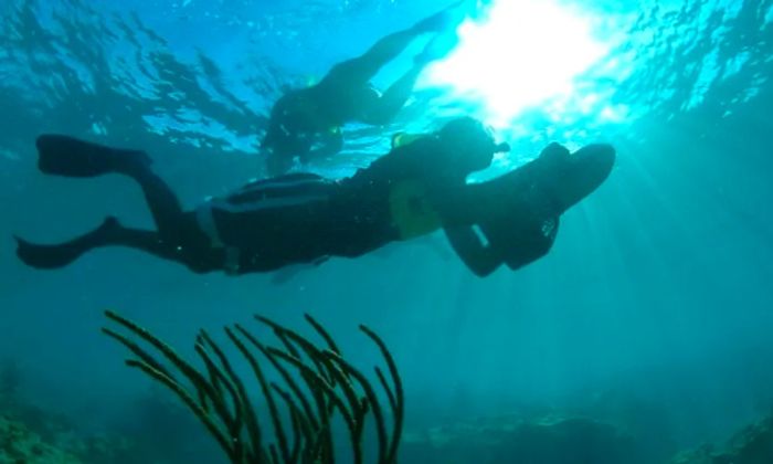 two individuals enjoying power snorkeling