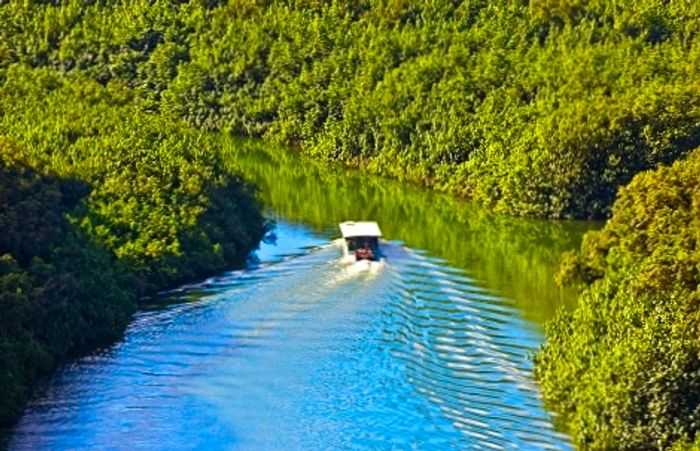 A riverboat gliding through the Wailua River during a Hawaiian cruise ship excursion