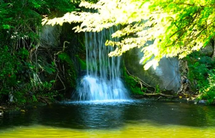 A waterfall in Freeport, Bahamas