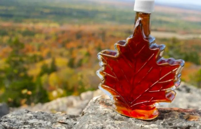 a bottle of Canadian maple syrup shaped like a maple leaf perched on the edge of a cliff