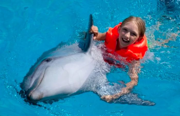 a young girl grasping a dolphin's fins in the waters of the Bahamas