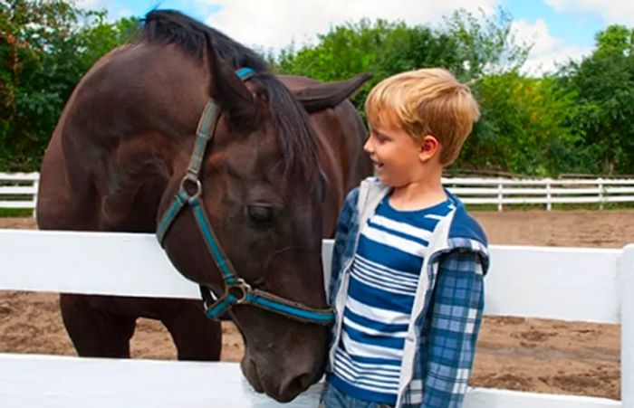 A young boy gently petting a horse in Half Moon Cay.